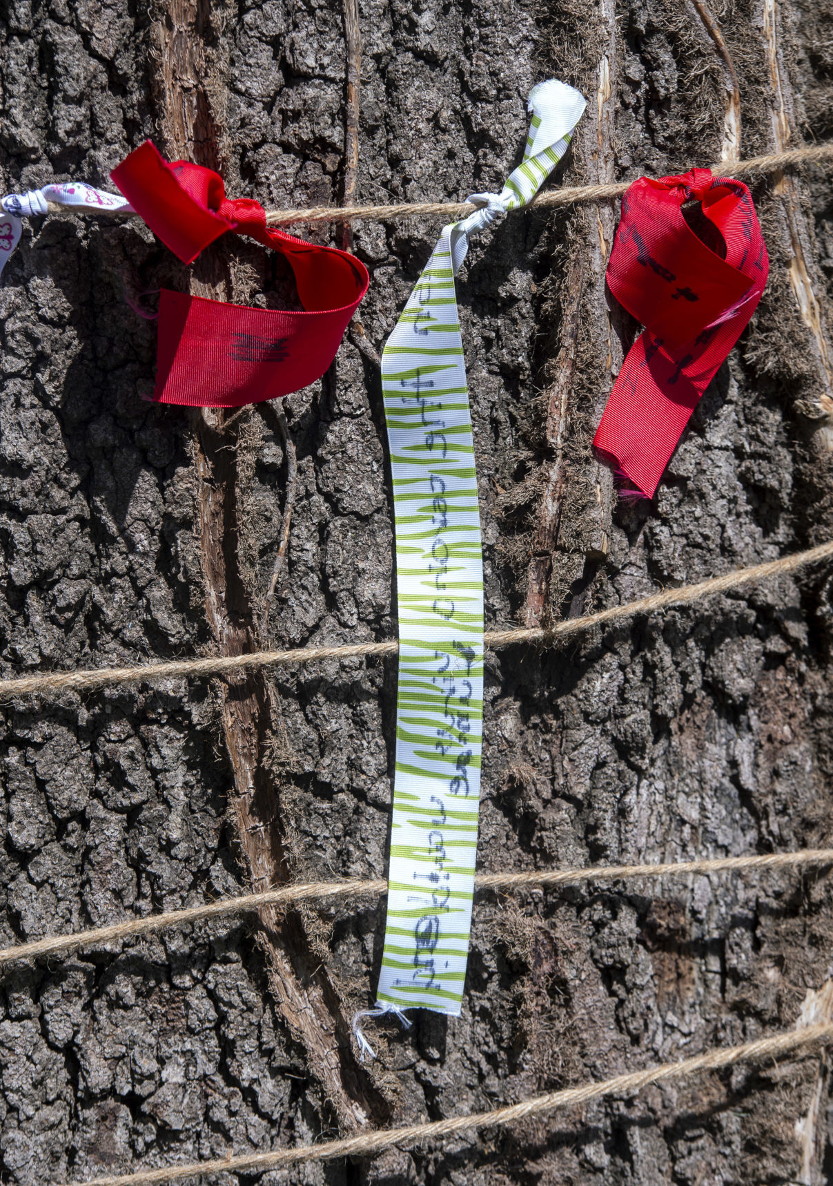 Wishtree